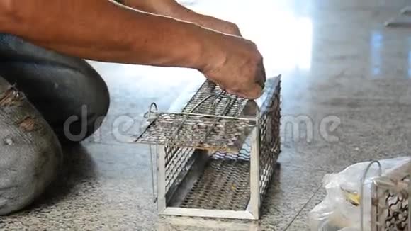 老人用鲭鱼做捕鼠器泰国式视频的预览图