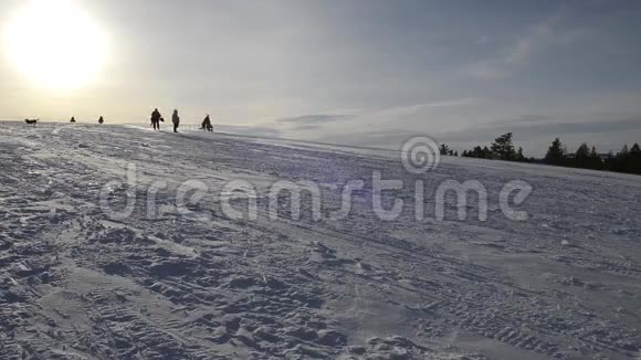 冬天孩子们骑着雪橇下山视频的预览图