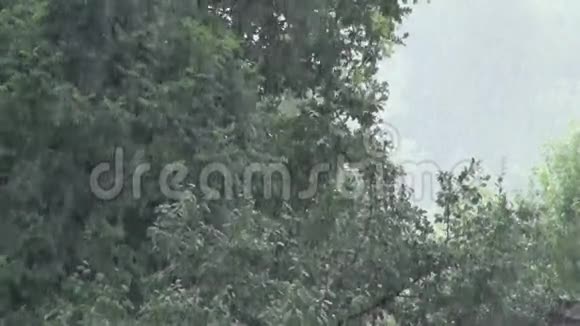 木材背景下的倾盆大雨视频的预览图