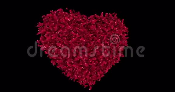 旋转红玫瑰樱花花瓣在心形阿尔法Matte循环4k视频的预览图