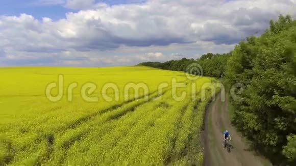 一位骑自行车的男子骑在一片风景如画的黄菜田上视频的预览图