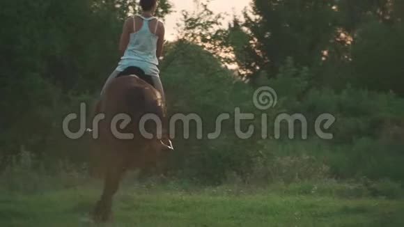 女孩在骑马视频的预览图