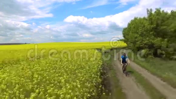 一位骑自行车的男子骑在一片风景如画的黄菜田上视频的预览图