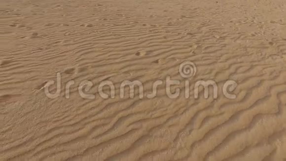 沙漠沙丘沙粒Corralejo自然公园2016年8月30日福尔特文图拉加那利群岛视频的预览图