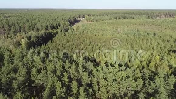 4乌克兰乡村风景中飞越美丽绿色森林的K航空视频的预览图