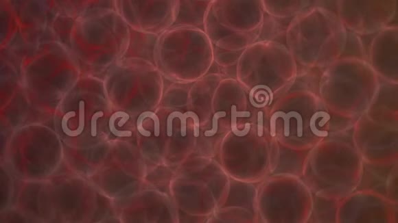 透明红色圆形细胞移动背景视频的预览图
