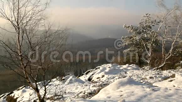 冬季清晨透过桦树树枝俯瞰山谷视频的预览图