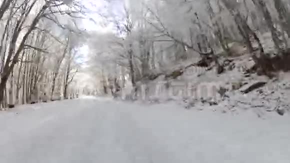 冬天穿过林地的蜿蜒路去普罗视频的预览图