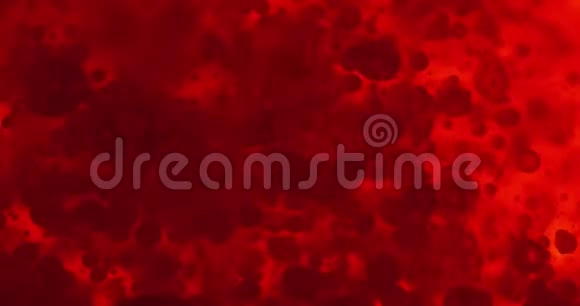 液中的小红细胞视频的预览图