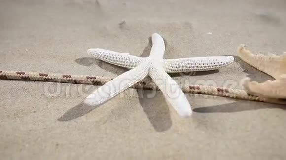 沙滩上的海星贝壳和绳子全高清机动滑块1080便士视频的预览图