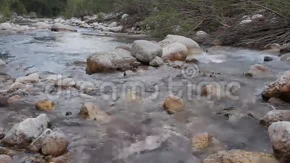 山河流经绿色森林视频的预览图