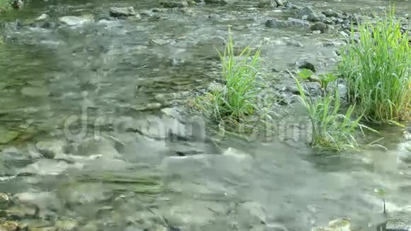 山河流经植被视频的预览图