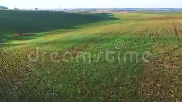 精彩的小麦田空中景色视频的预览图