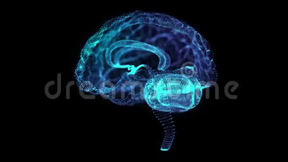 旋转人脑360度全息图发光蓝光粒子点的人脑模型无缝循环视频的预览图