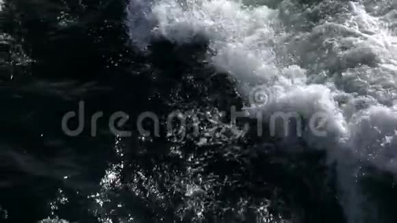 海洋拯救自然视频的预览图