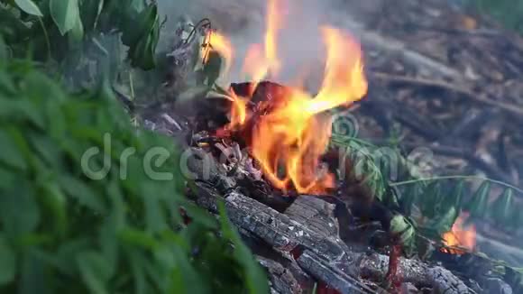 火焰燃烧着流动的火焰和烟雾视频的预览图