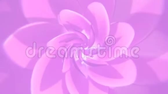 粉红色的花背景视频的预览图