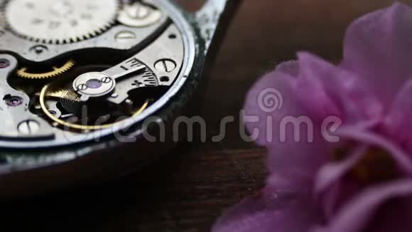 旧的秒表机制旁边的温柔的粉红色紫罗兰花视频的预览图