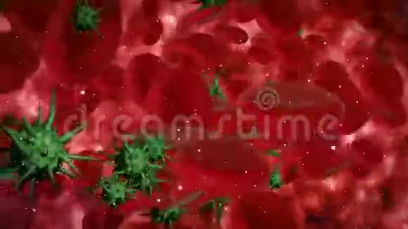 病毒感染血流视频的预览图