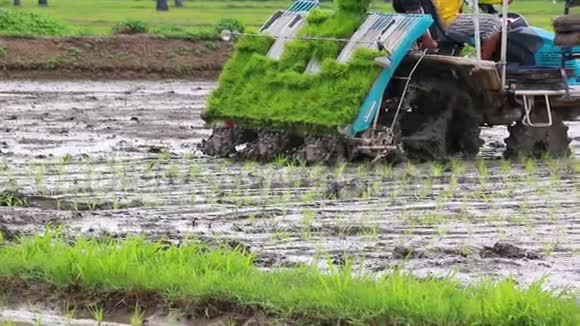 农民驾驶插秧车专用水稻视频的预览图