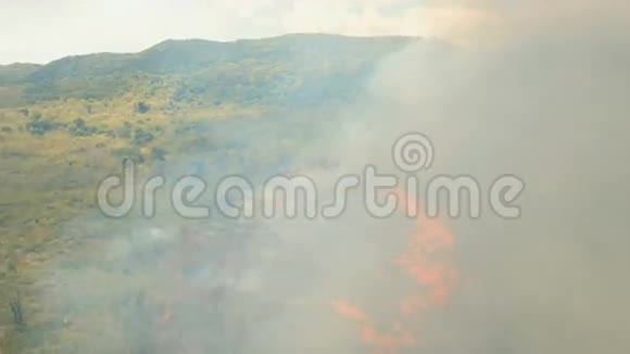 鸟瞰森林火灾菲律宾巴拉望布桑加视频的预览图
