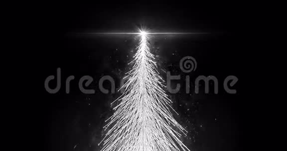 动画白色圣诞枞树星孤立无缝环在4k分辨率视频的预览图