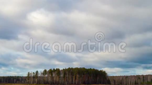 一片松林上空的雨云时间流逝4K视频的预览图