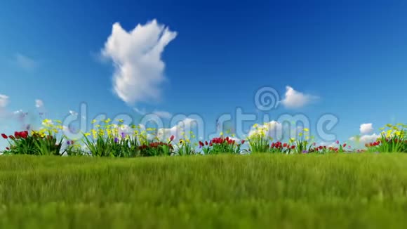 蓝天上绿色草地上的复活节彩蛋视频的预览图