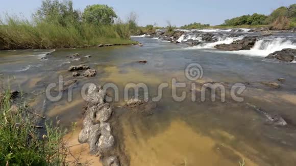 纳米比亚北部卡普里维的著名波帕河上视频的预览图