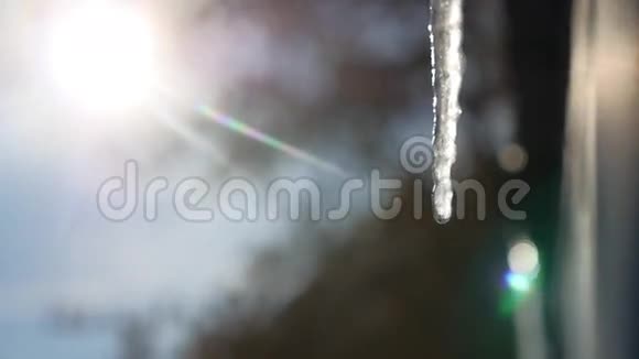 冰柱滴下的水滴在抽象的蓝色冰冻的冬冰背景下视频的预览图