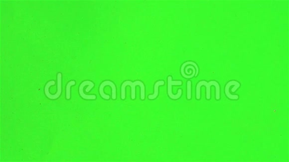 绿色屏幕上的木屑视频的预览图