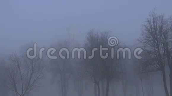 晨雾和教堂塔轮廓的钟声视频的预览图