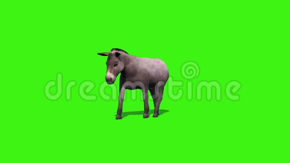 驴与阴影2绿色屏幕闲置视频的预览图