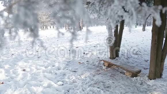 公园内美丽的冬季景观冬天下雪视频的预览图