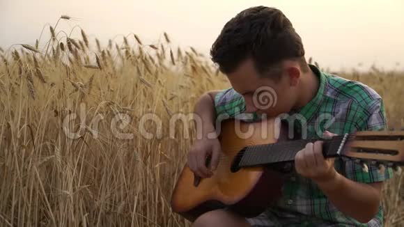 年轻人在夕阳的照耀下走着金色的麦田弹吉他视频的预览图