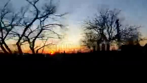 路上日落树木剪影视频的预览图