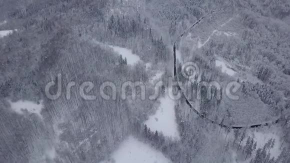 鸟瞰白色树林视频的预览图