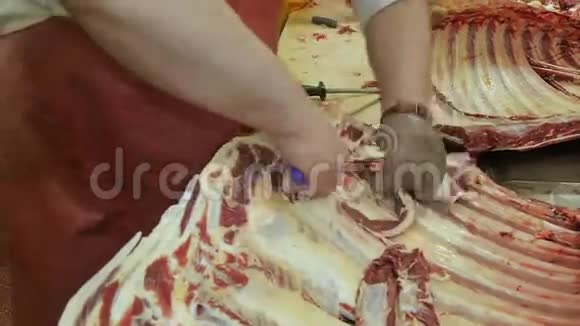 猪肉肉牛肉胴体挂在肉厂生产香肠肉肉切割一种新鲜的生肉做香肠视频的预览图