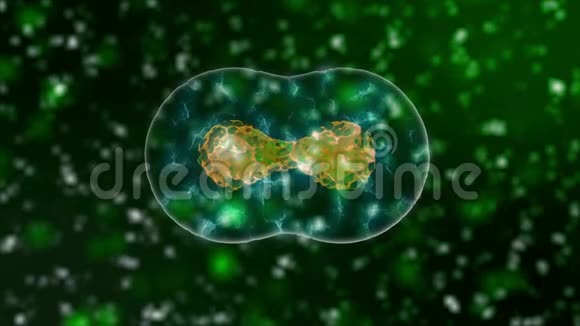 细胞司深绿色背景4K医学与科学概念3D视频视频的预览图