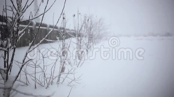冬季道路上覆盖着白雪皑皑的树木和篱笆视频的预览图