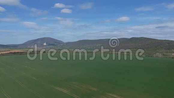 用绿芽对场地进行空中勘测来自航空摄影的冬麦田农业粮食作物视频的预览图