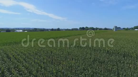 海滨农场和农村与玉米田的空中近景视频的预览图
