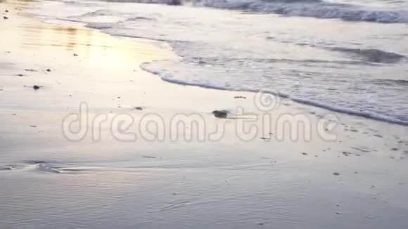 日落时海浪沙滩视频的预览图