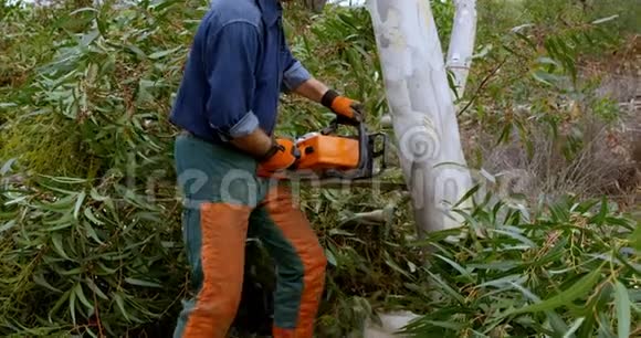 伐木工人在森林里砍树视频的预览图