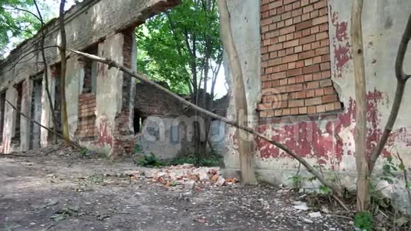 一座被废弃的砖木建筑里面有树木生长粉刷墙视频的预览图