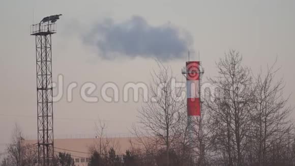 工厂里的烟视频的预览图