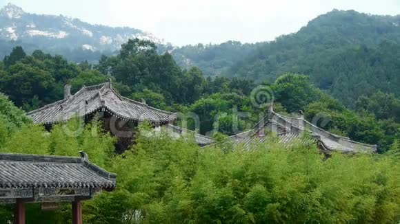 中国竹林古建筑寺庙视频的预览图