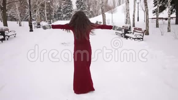快乐的怀孕女孩在冬季公园散步视频的预览图