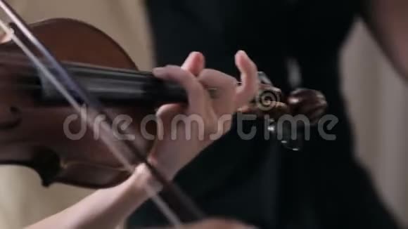 音乐家演奏小提琴经典音乐视频的预览图