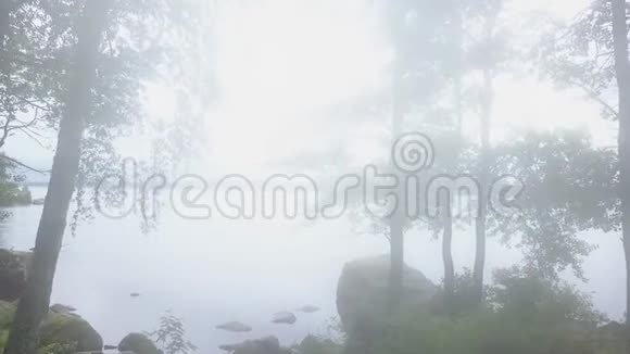 在多岩石的河岸上在神奇的雾林中进行空中旅行视频的预览图